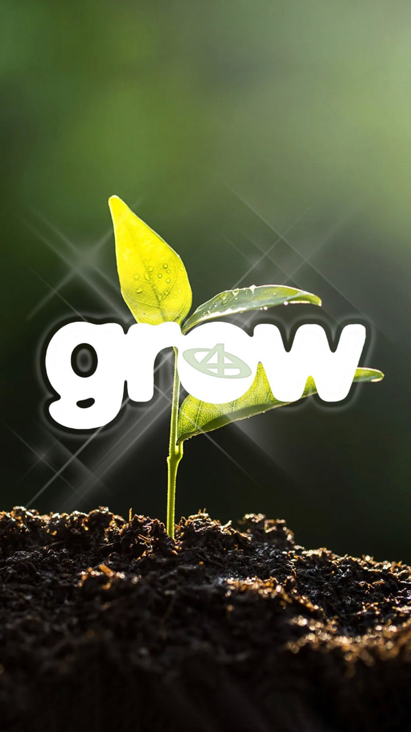 Grow At Kanaal40