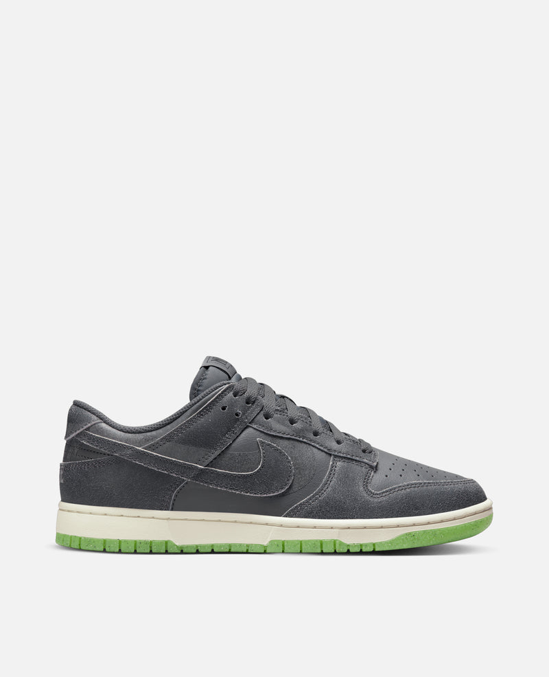 Nike Dunk Low Retro Prm