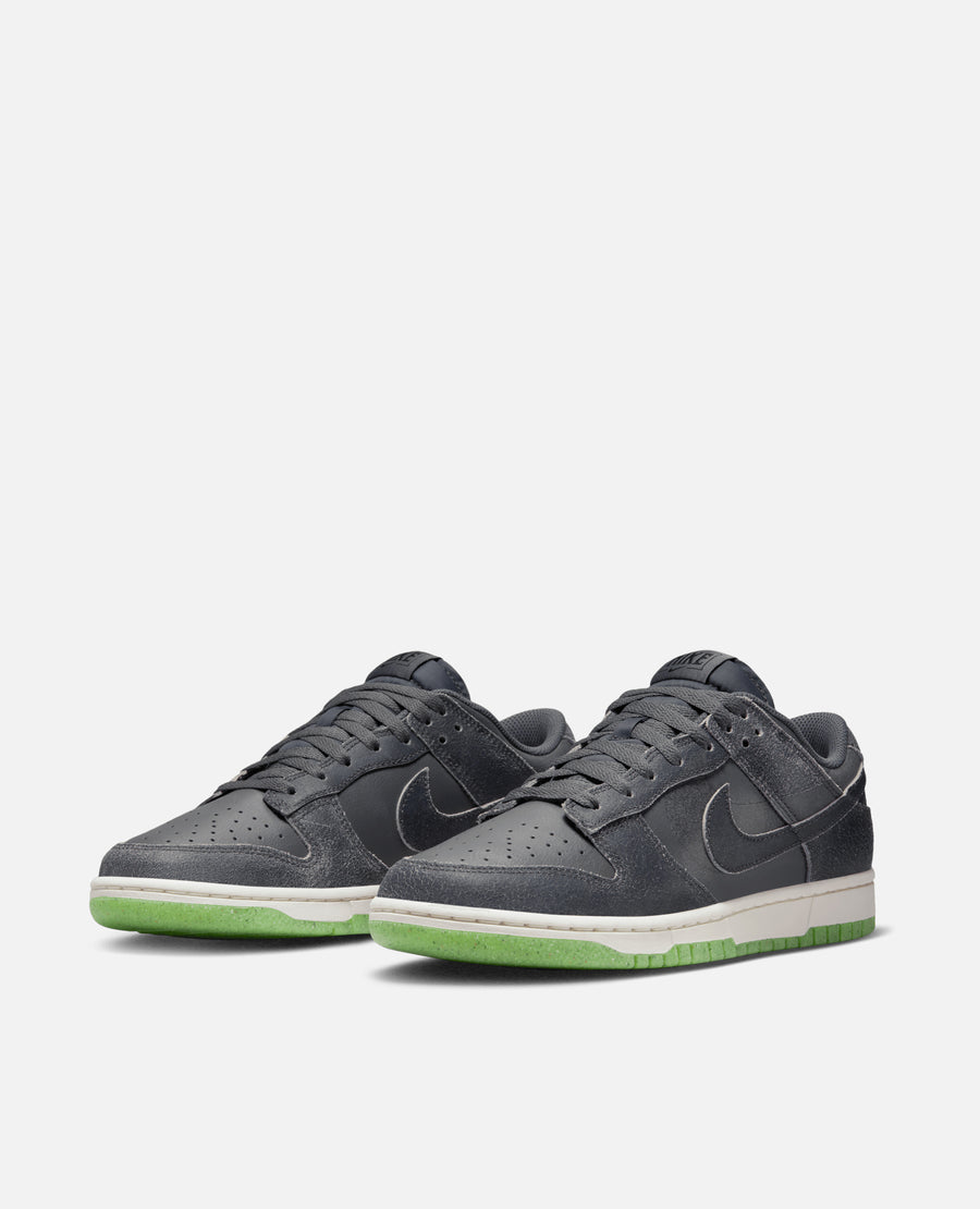 Nike Dunk Low Retro Prm