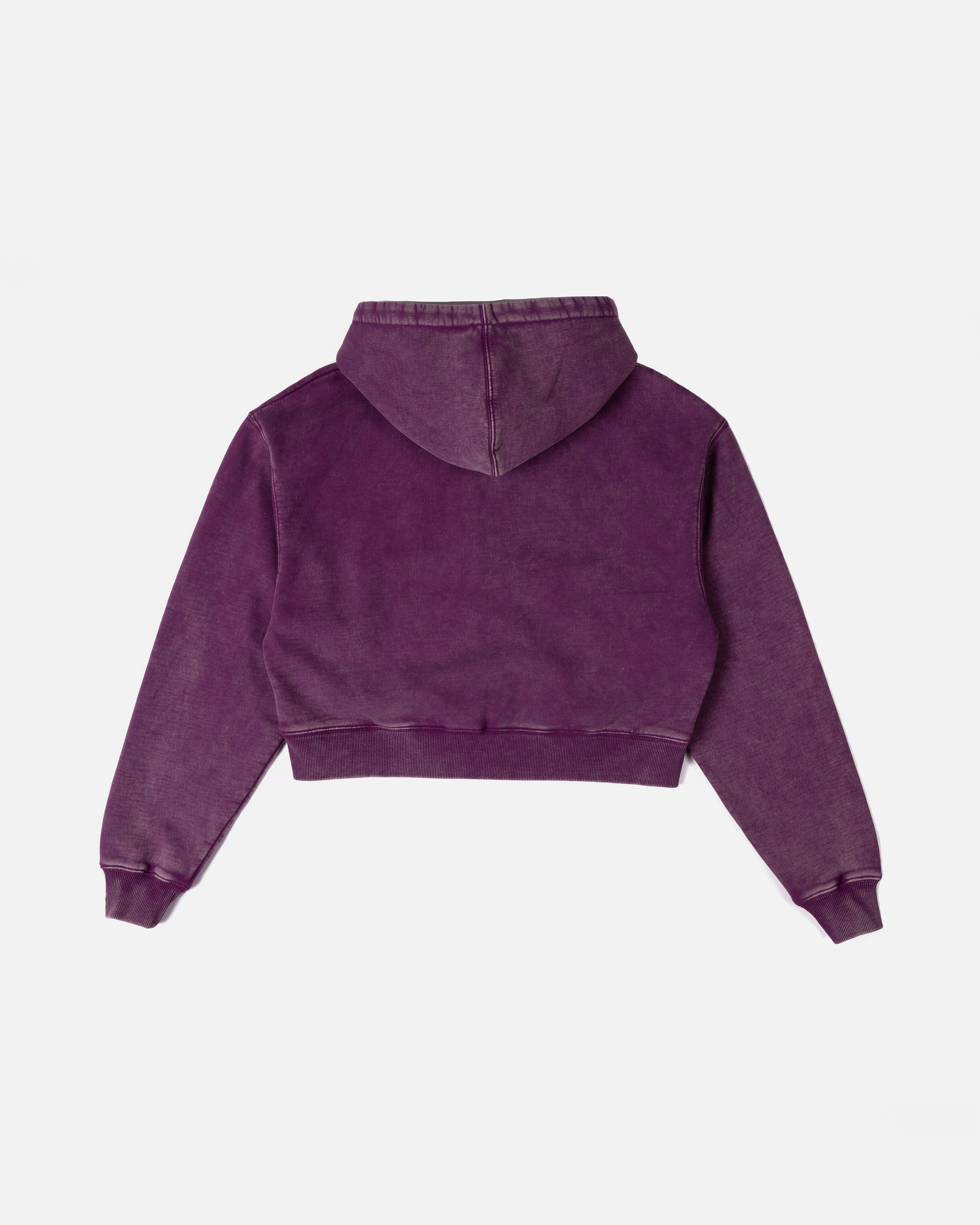 【lit】Dart Cropped Sweat Dark Chocolate Drawcord Waist Crop Zip Sweatshirt